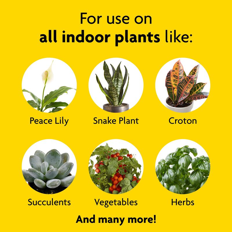 Miracle-Gro® Indoor Potting Mix and Miracle-Gro® Indoor Plant Food image number null